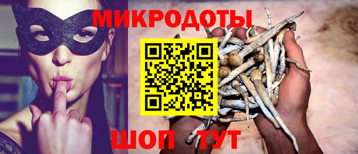 Лесозаводск  где найти   Вход с VPN  Галлюциногенные грибы Magic Shrooms 